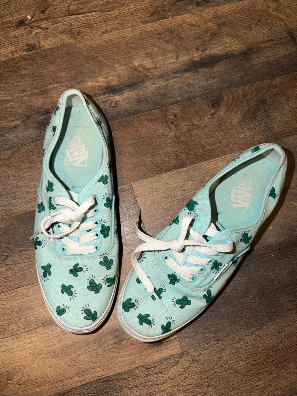 Vans Mint Canvas Sneakers with Green Cactus Print